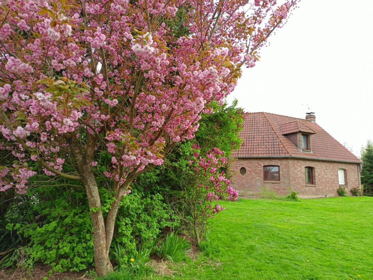 Les chambres du Vert Galant La campagne qui murmure Verlinghem Extérieur photo