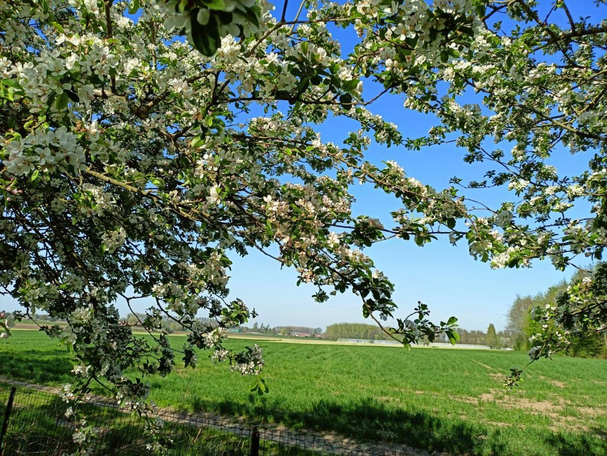 Les chambres du Vert Galant La campagne qui murmure Verlinghem Extérieur photo